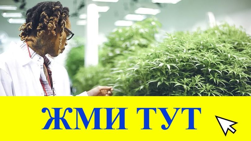 Купить наркотики в Судаке